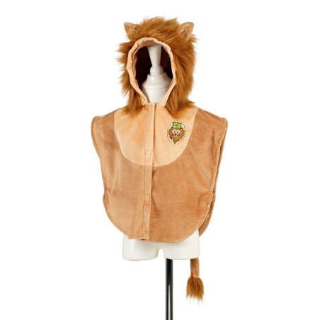 Costume carnaval, Costume baieti