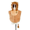 Costume carnaval, Costume baieti