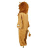 Costume carnaval, Costume baieti